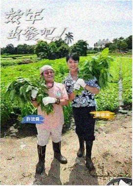 神马影视作品图鉴：夜市食摊纪事纪实节目海报